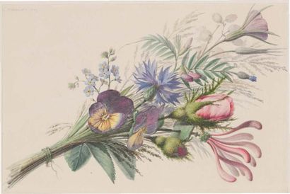 Auguste THIERRIAT (Lyon 1789-1870) Bouquet de pensées, roses, myosotis et oeillets
Aquarelle
Signé...