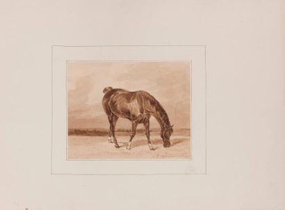 École Française du XIXe siècle Un cheval au pré
Plume et encre brune, lavis brun
Signature...