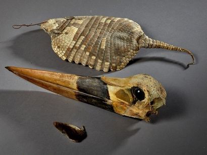 null Lot comprenant un crâne de Jabiru d'Afrique (Ephippiorhynchus senegalensis)...