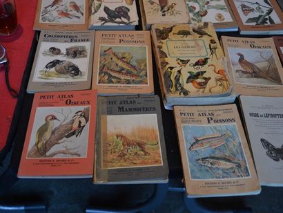 null Lot de livres de vulgarisation zoologiques comprenant : "Les oiseaux d'Europe...