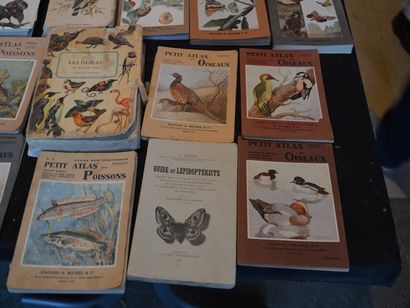 null Lot de livres de vulgarisation zoologiques comprenant : "Les oiseaux d'Europe...