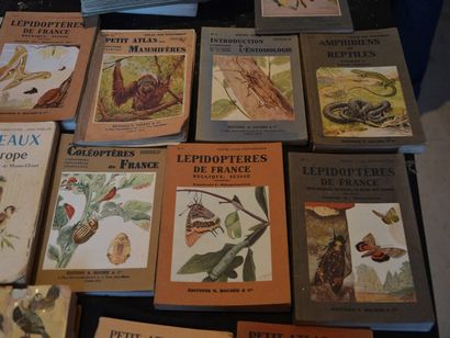 null Lot de livres de vulgarisation zoologiques comprenant : "Les oiseaux d'Europe...