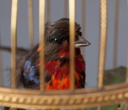 BONTEMPS °Singing Bird. Vers 1880
Automate à 2 oiseaux chanteur.
Cage ronde et socle...