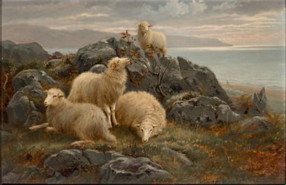 CHARLES H. BRANSCOMBE (ACT.1891- 1922) Moutons dans un paysage
Paire de panneaux
30...