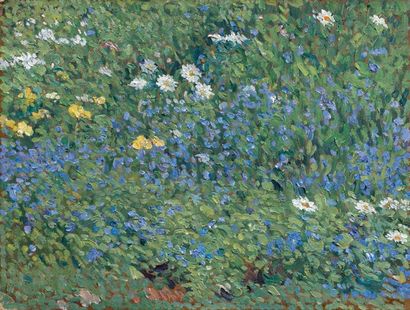Henri MARTIN (1860-1943) Tapis de fleurs bleues avec marguerites
Huile sur carton
31...
