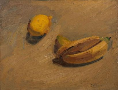 Georges Pierre H. BOUCHE (1874-1941) 
Nature morte aux fruits
Huile sur toile
27...