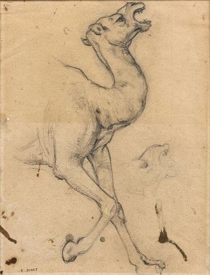 Etienne ALPHONSE DINET (1861-1929) 
Etude de chameau Crayon sur papier, signé en...