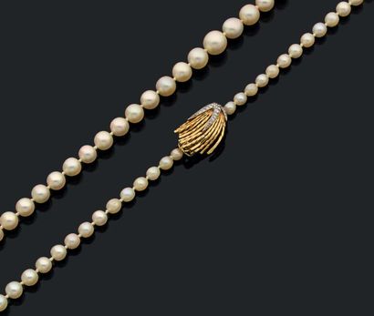 STERLE Collier de perles de culture en chute orné d'un fermoir en or jaune 18K (750)...