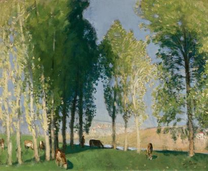 Pierre Eugène MONTEZIN (1874-1946) 
Sous-bois ensoleillé
Huile sur toile, signée...