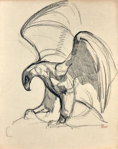 Paul JOUVE (1880-1973) 
Aigle Dessin au fusain, signé en bas à droite
55 x 44 cm