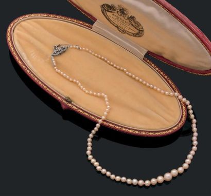 JANESICH Collier composé d'une chute de 103 perles supposées fines - Non testées.
Fermoir...