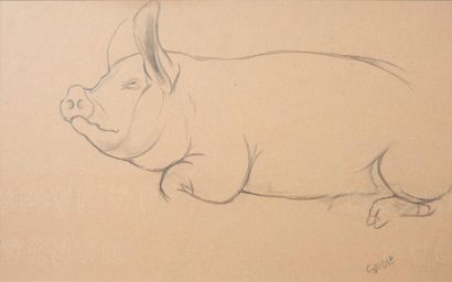 George GROSZ (1893-1959) Etude de cochon 

Crayon sur papier, signé en bas à droite...