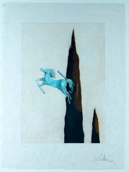 Salvador DALI (1904-1989) Ossification

Lithographie couleur, signée au crayon en...