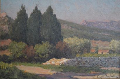 Eugène de BARBERIIS (1851-1937) Paysages du sud

Deux huiles sur panneaux formant...