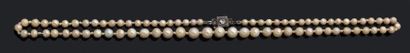 null Collier composé d'une chute de 78 perles supposées fines - non testées.
Diam.:3.8...