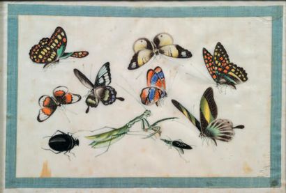 null Entomologie
Suite de sept peintures sur papier de riz, représentant des papillons...