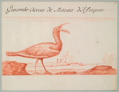 Le Masson du Parc B Pesche & Chasse des oiseaux de mer.
A Dieppe 1721.
Texte Histoire...