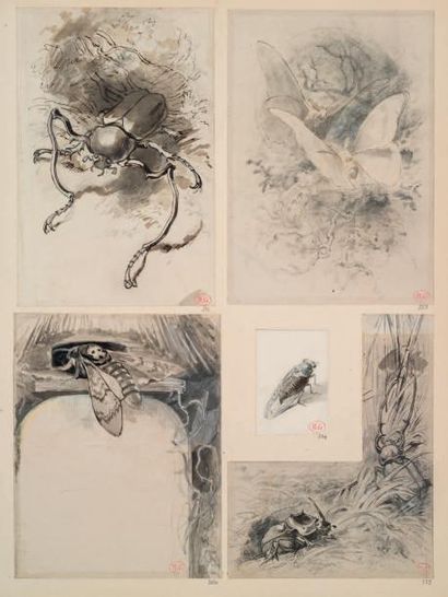 Giacomelli Album de dessins in folio; demi-maroquin rouge à coins, dos à nerfs. Monogramme
HGG...