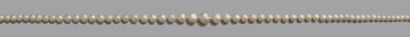 null Collier composé de 135 perles supposées fines - non testées.
Fermoir en platine...