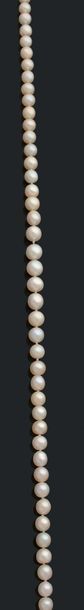 null Collier composé d'une légère chute de 48 perles fines.
Pb.:26.1gr
Diam.: 6 x...