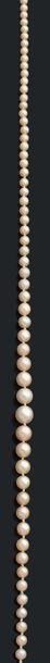 null * Collier composé de 96 perles fines en chute et 1 perle de culture. Fermoir...