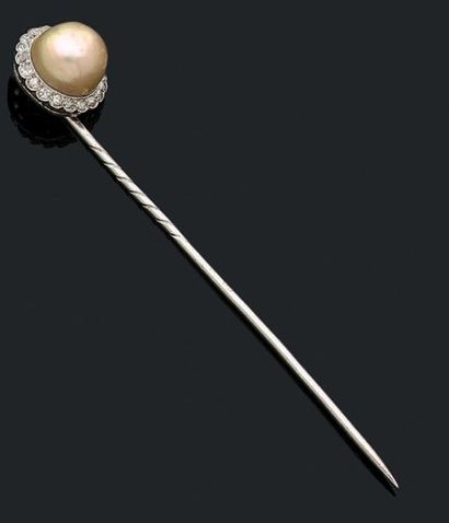 null Epingle en platine (950) ornée d'une perle fine bouton dorée dans un fin entourage...