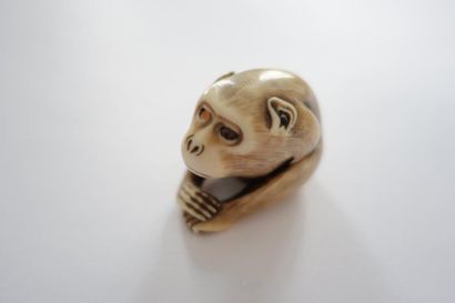 null Japon, XIXe siècle

Netsuke en ivoire représentant un singe assis, les pattes...