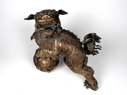 null Chine 

Sujet en bronze représentant un chien de Fo

XIXème siècle

H: 30 -...