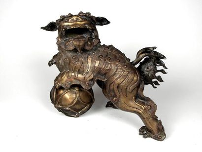 null Chine 

Sujet en bronze représentant un chien de Fo

XIXème siècle

H: 30 -...