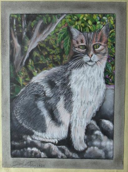 null Sidonie Gabrielle COLETTE (1873-1954)

Portrait d'un chat assis

Pastel sur...