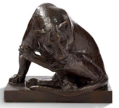 Georges Lucien GUYOT (1885-1973) 
Lionne se léchant la patte arrière
Bronze à patine...