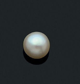 null "PERLE FINE"
Perle fine bouton
Dim.:8.9 x 7 mm env - Pb.: 0.77gr env.
Sur une...