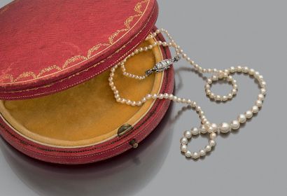 null COLLIER "PERLES FINES"
Rang de 129 perles supposées fines
- non testées en chute....