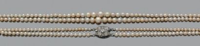 CHAUMET "PERLES FINES"
Collier deux rangs de perles supposées fines - non testées...