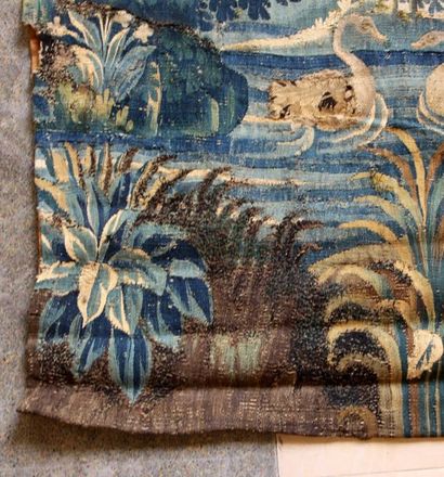 null AUBUSSON (France) fin XVIIème 

Fragment de tapisserie, verdure, cygnes au permier...