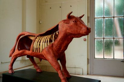null Mireille Fulpius : création plastique sur sculpture de taureau en résine de...