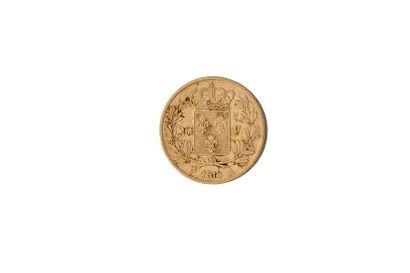 null France
Louis XVIII 20 francs 1818 A usures
M 660