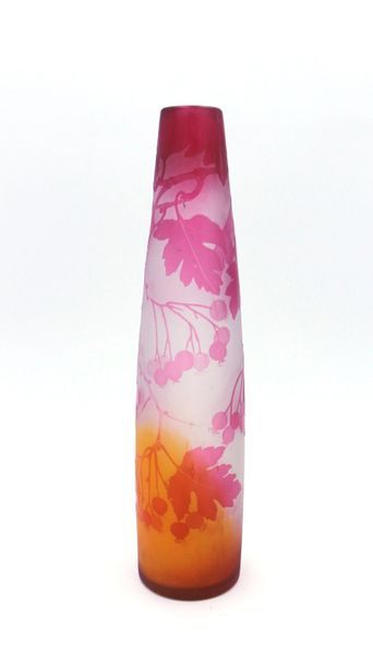 null ETABLISSEMENT GALLE

Vase soliflore en verre multicouche de couleur rose et...