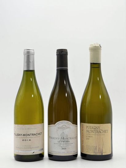 null 1 B PULIGNY-MONTRACHET LE TRÉZIN (e.t; capsule avec cire abimée) Pierre-Yves...