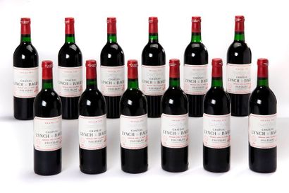 null 12 blles Château Lynch-Bages - 1981 - 5e GCC Pauillac