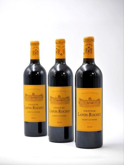 null 3 B CHÂTEAU LAFON ROCHET GCC4 St Estephe 2010