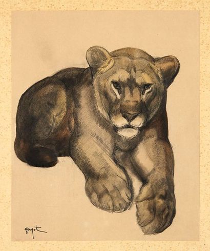 null GEORGES LUCIEN GUYOT (1885-1973)

Lionne allongée

Fusain et aquarelle, signé...