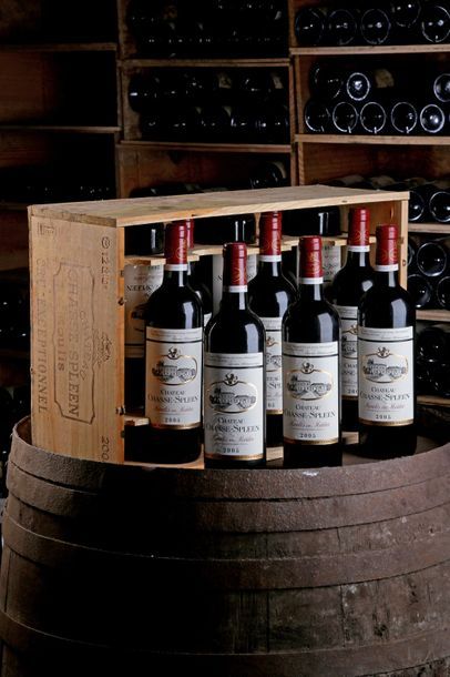null 12 Blles Château Chasse-Spleen - 2005 - Moulis, Cru bourgeois exceptionnel -...
