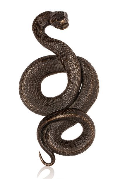 JAPON Okimono en bronze à patine foncée, représentant un serpent à l'affût.
L. 17...