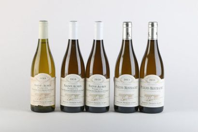 null 2 B PULIGNY-MONTRACHET (e.l.s.) - 2011 - François Legros

2 B SAINT-AUBIN MURGERS...