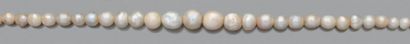 null Collier "perles fines"
Chute de 52 perles fines baroques.
Fermoir or, rubis...