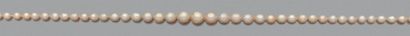 null Collier "perles fines"
Chute de 83 perles fines.
Fermoir or et diamant.
Pb.:...