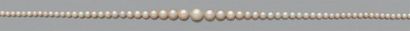 null Collier «perles fines»
Chute de 168 perles supposées fines, non testées.
Diam.:1.6...