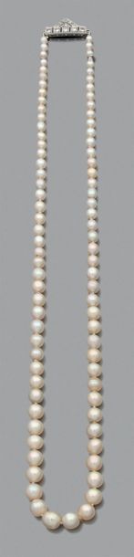 null Collier "perles fines"
Chute de 85 perles fines. Pb.: 15.8gr
Accompagné d'un...