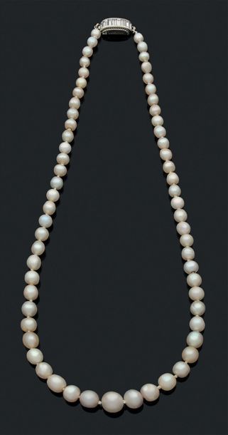 null Collier "perles fines"
Chute de 63 perles fines.
Fermoir or 18k (750) diamants...